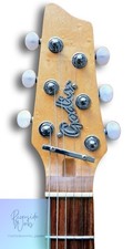 Godin Radiator Maple Neck Chamber Body Electric Guitar