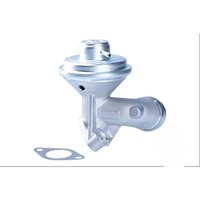 NGK / NTK Agr-Ventil + Dichtungen FüR Citroen C2 C3 I II Peugeot 206 307 1.4 Hdi