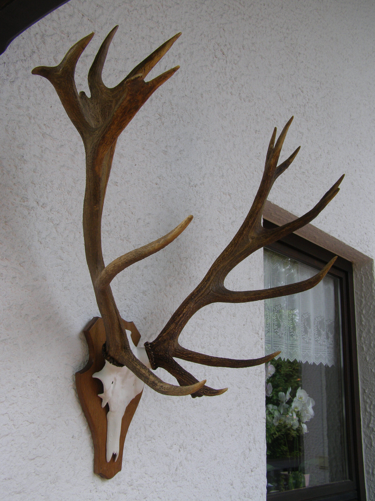 Bild 3 von 4