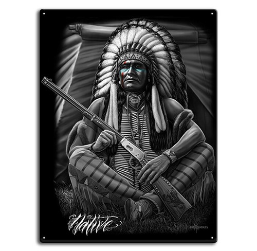 DGA David Gonzales Art Native American Indians Warrior Tin Metal Poster Sign - 第 1/3 張圖片