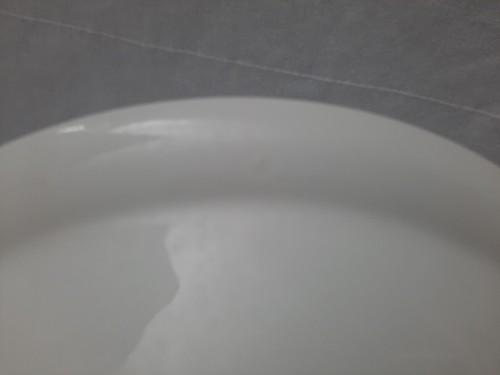 Portmeirion Compleat Angler Fern Bowl Soup Rimmed 8.5" ~ Perch Pattern - Picture 7 of 9
