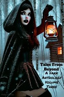 Tales From Beyond : A Dark Anthology Volume Three Phillip Chartier Taschenbuch