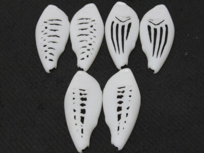 wLure Hard Plastic 3D Stencil Fishing Lure Lipless Blank Body UPL540 | eBay