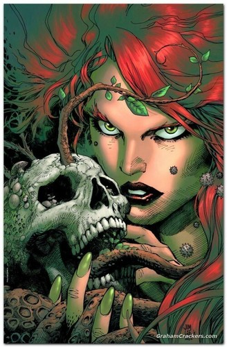 Poison Ivy #1 Jim Lee Graham Crackers Comics Exclusive Bundle PRE-ORDER 6/7/2022 - Picture 4 of 4