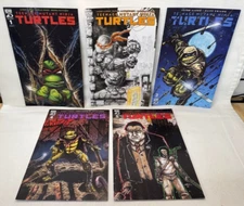 Image TMNT (2024) #1-5 CVR C by Jason Aaron  *FREE SHIPPING*