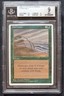 Hurricane MTG 4th Edition ALTERNATE BGS Mint 9 = PSA/CGC 10 uncommon--very rare!