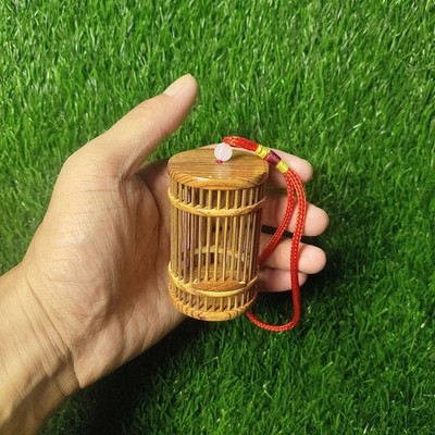 Antique Handcrafted Bamboo Insect Cage for Small Crickets Hanging Pendant