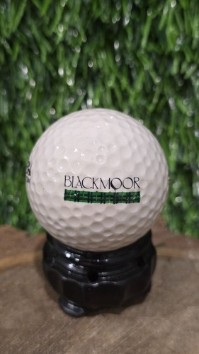 YOU PICK! Myrtle Beach G.C. , C.C. & South Carolina Collector Golf Balls - Picture 67 of 102
