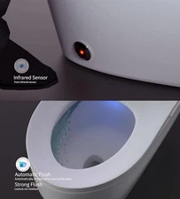 One-Piece Dual Flush Toilet + Remote Control Warm Dryer Night Light Foot Sensor