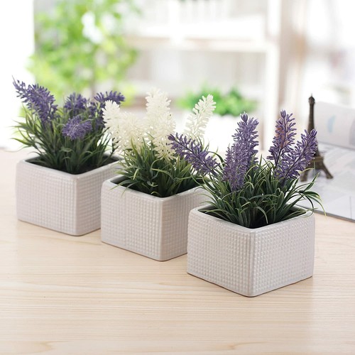 Purple and White Plants in White Textured Ceramic Pot, Plant Container, Set of 3 - Picture 3 of 5