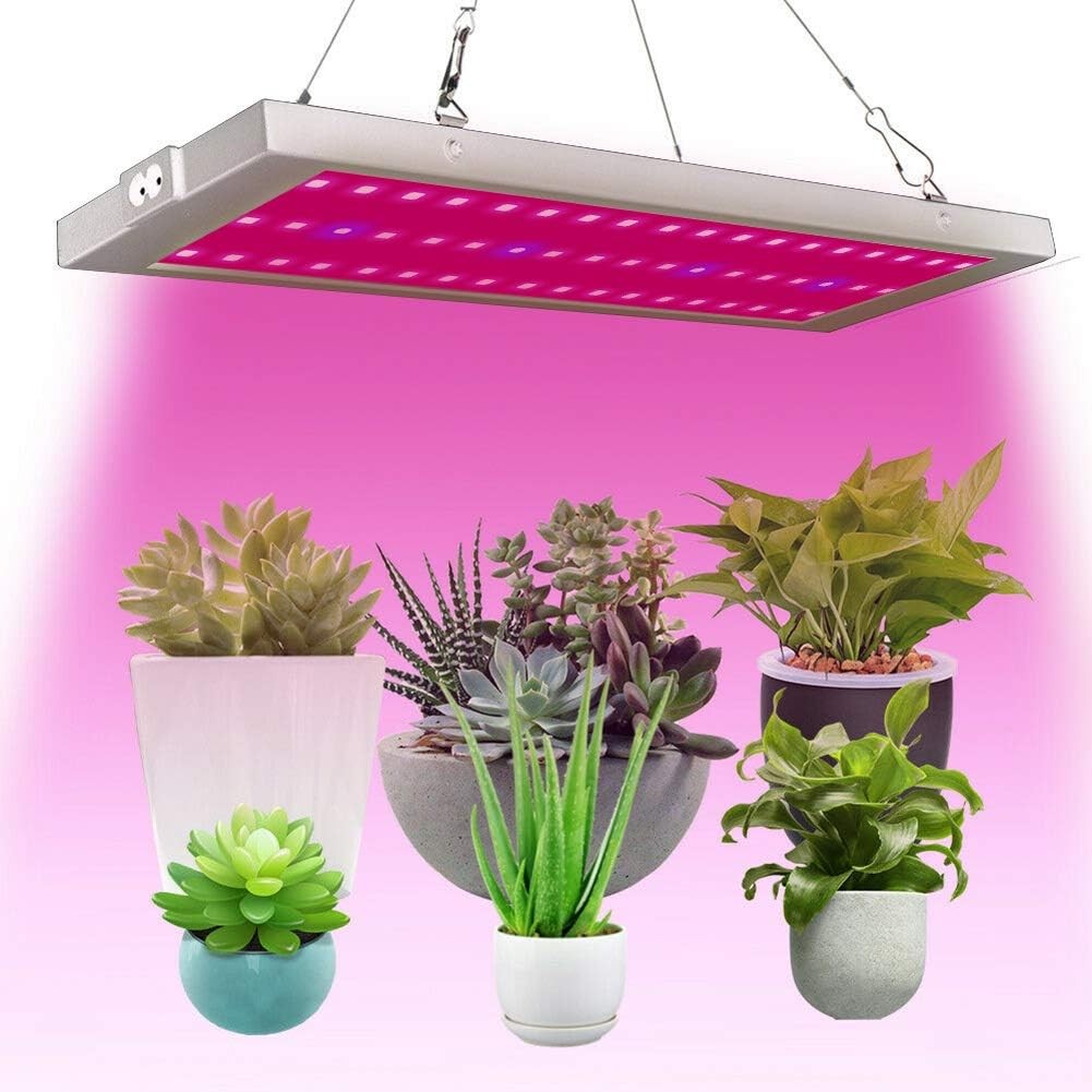 For Plants
