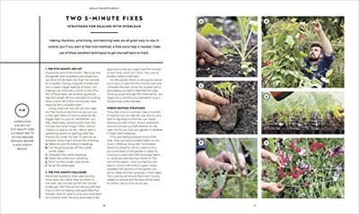 The Vegetable Grower's Handbook: Unea..., Richards, Huw