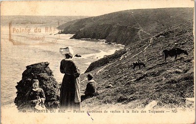 29 POINTE DU RAZ - alte Postkarte [02564DTZ]