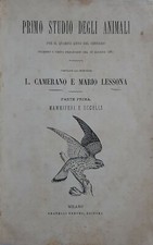 Primo Studio Degli Animali - L. Camerino e Mario Lessona - 1881