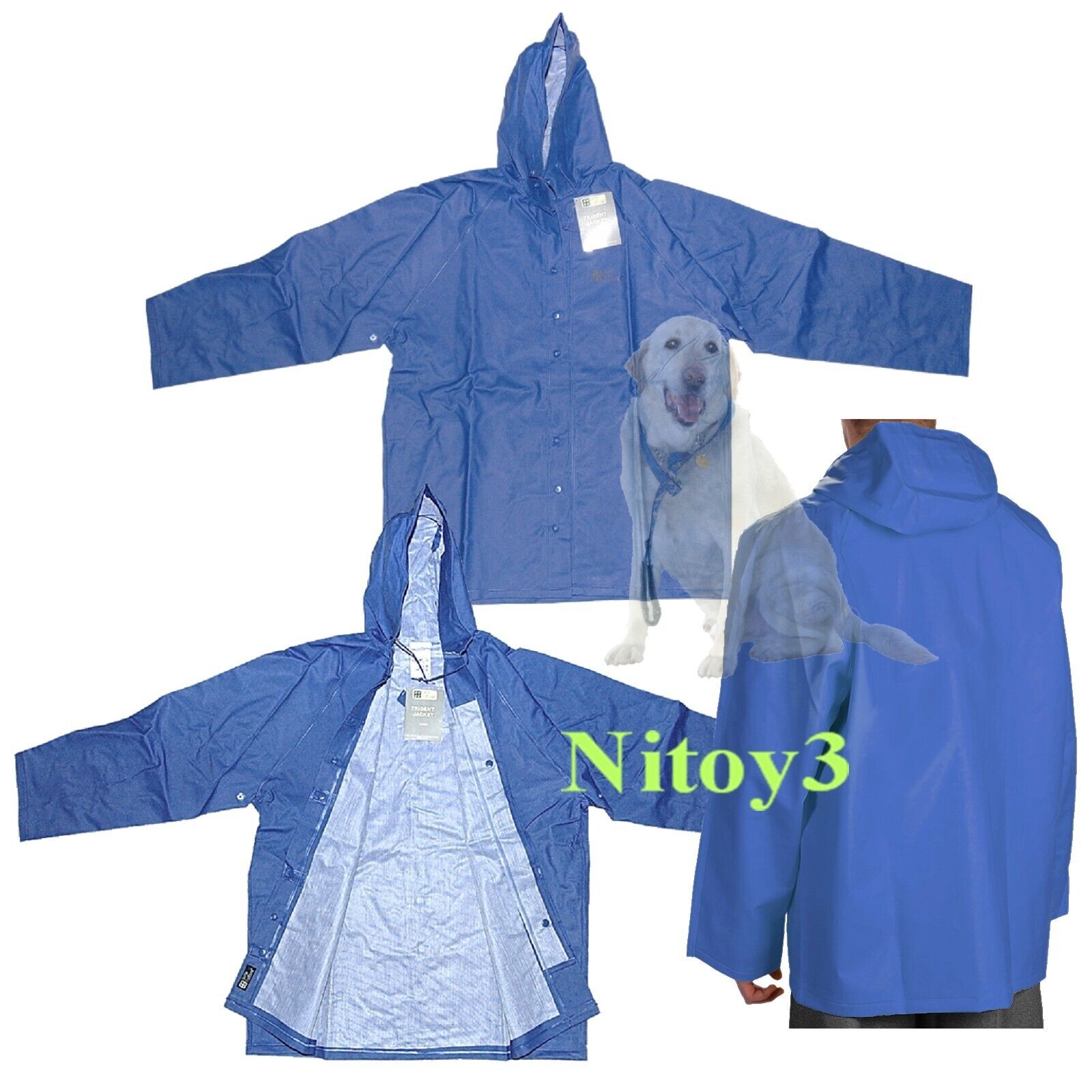 Foto 1 di 1