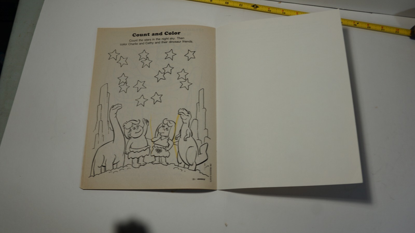 Picture 21 of 24