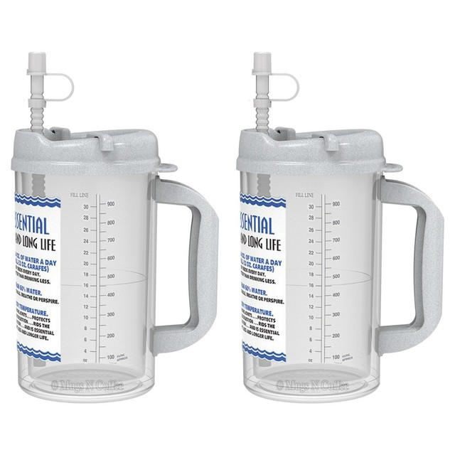 (2) 32 oz Insulated Mugs with Straws BPA FREE Water Essential