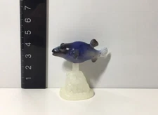 Epoch Japan Exclusive Blue Spotted Blowfish Fish Figure B