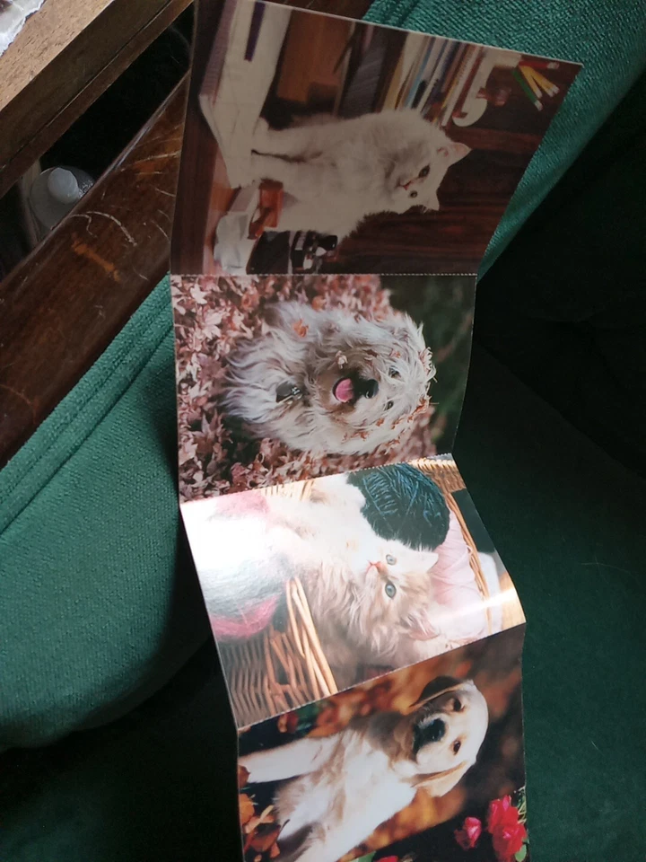 Greeting Postcard Animal Shelter North Shore League Kittens And Puppies 1980's  - Image 3 of 4