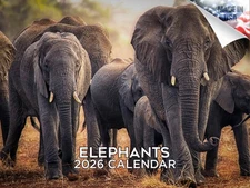Elephants Calendar 2026 12x18 Made in USA