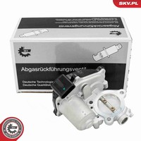 Agr Ventil Esen Skv 14SKV299 12V FüR Vw Passat B8 3G2 CB2 Variant 3G5 CB5 Tiguan