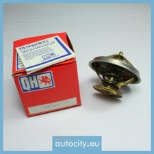 Thermostat Peugeot 604