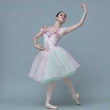 Off-theshoulder Ballet Dance Tutu Leotard Dress Pink Velvet Bodice Romantic Tutu