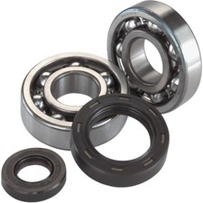 All Balls 24-1066 Crank Bearing and Seal Kit