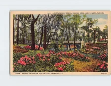Postcard Spanish Moss & Flowers Dickson Azalea Park Orlando Florida