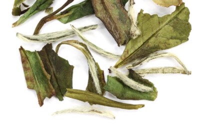 white peach tea loose leaf 5 ounce bag fresh new brew hot or cold