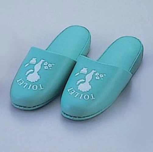 Slipper toilet 2025