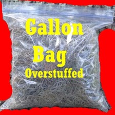 Organic Spanish Moss Florida LIVE Air Plant Overstuffed 1 Gallon Florida Fresh