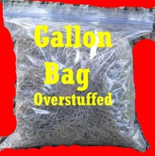 Organic Spanish Moss Florida LIVE Air Plant Overstuffed 1 Gallon Florida Fresh