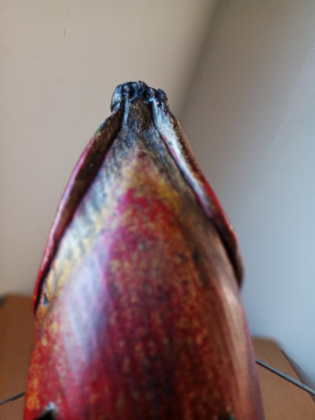 Vtg Carved Wooden Spearing Fish Sunfish Decoy P. Campbell Folk art 18"