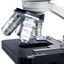 AmScope 40X-2500X Compound Binocular Microscope w 3D Stage, 1.0MP ...