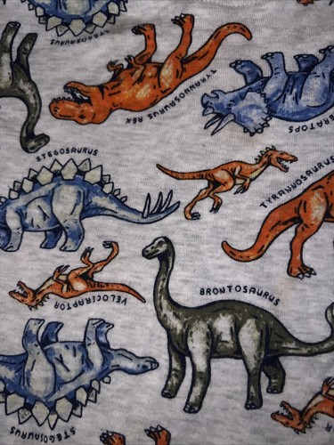 Boys Dino 2 Pieces Pajamas Set Size 8 Short Sleeve - Picture 3 of 5