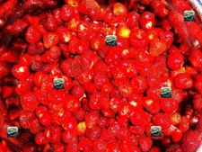 Digital Photo Wallpaper Image Picture  , Background Fruits Strawberries health+