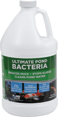 #ad 1 Gallon Pond Bacteria Water Treatment For Lakes Ponds And Water Gardens $40.48