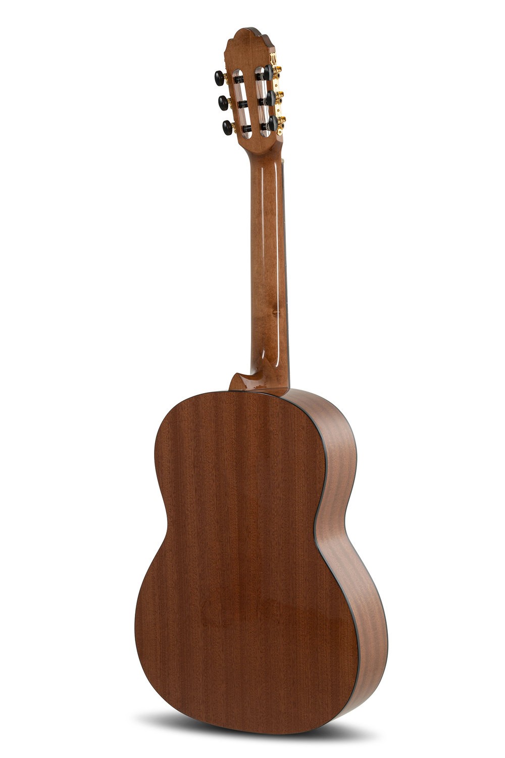 Chitarra Classica - Chitarra Classica Pro Arte Gc 130 A - 4/4 foto 2