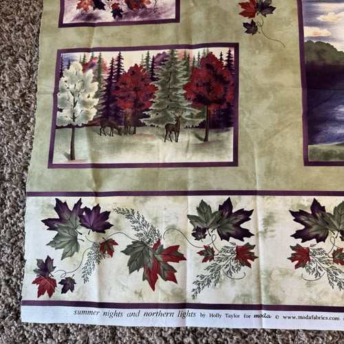 Connecting Threads Summer Nights Northern Lights Cotton Quilting Fabric Panel - Picture 2 of 7