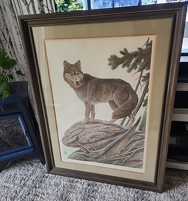 John A. Ruthven, Artic Series, Timber Wolf -824/950. Special Drawing By John.