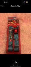 Dog leash and collar set