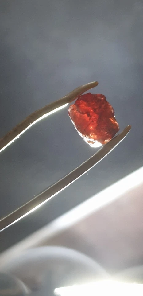 Zafiro rojo 3,5 quilates natural áspero sin cortar Rubyvale Australia Foto 3 de 4