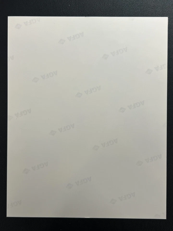 Sparky Lyle Signed 8x10 Photo JSA AUTO Relief Pitcher MLB Red Sox/Yankees NICE! - Image 3 of 4