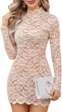 Sheer Lace Long Sleeve Mini Dress - Sexy See-Through Party Lingerie