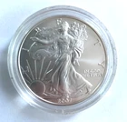 2007-W American Eagle One Ounce Silver Uncirculated Coin in Capsule Holder