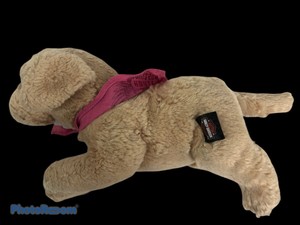 harley davidson stuffed dog