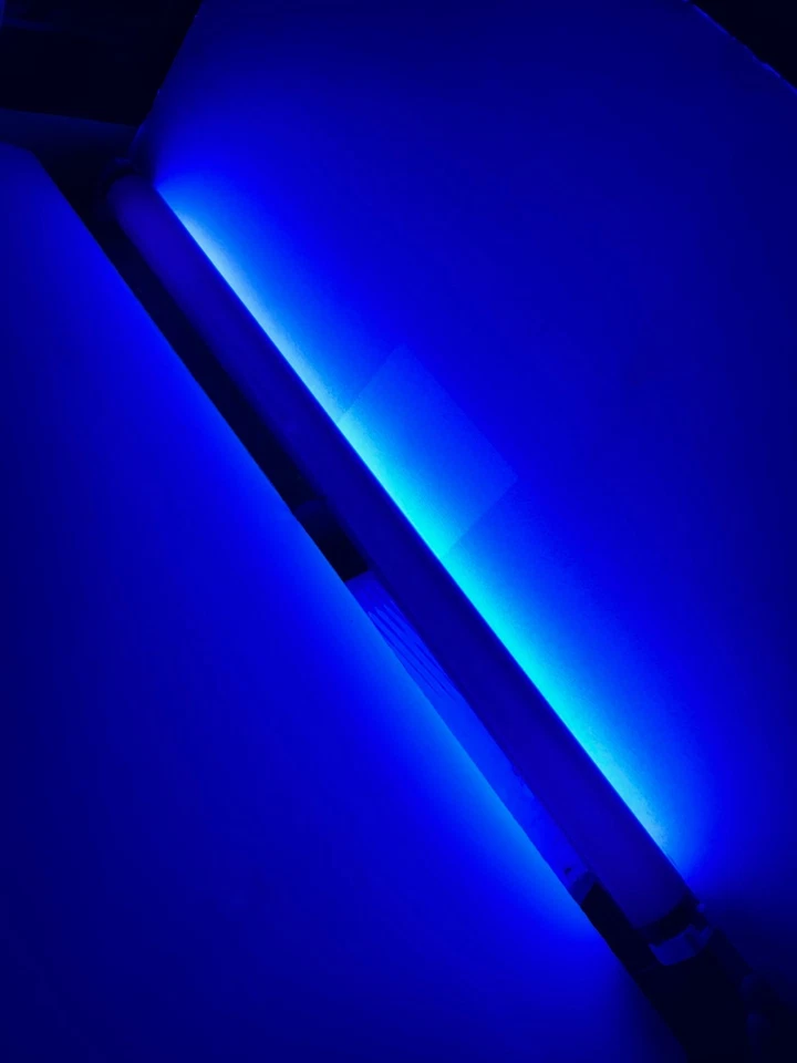 20W 24" 2Ft F20T12/BLB Black Light Blue FLUORESCENT TUBE Light Bulb NEW 314351 - Image 4 of 4