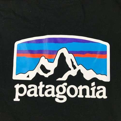 Patagonia Shirt Mens Medium Black Regular Fit Short Sleeves Lightweight Tee - Picture 2 of 10
