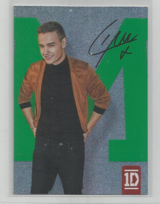 2013 Panini One Direction Liam Payne #13 Stardust Spellbound Trading Card